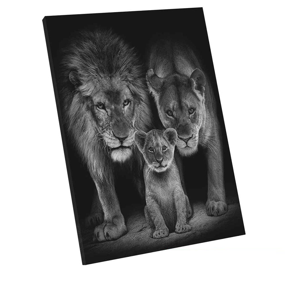 Lions Wall Poster