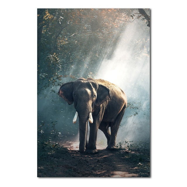 Elephants Wall Poster