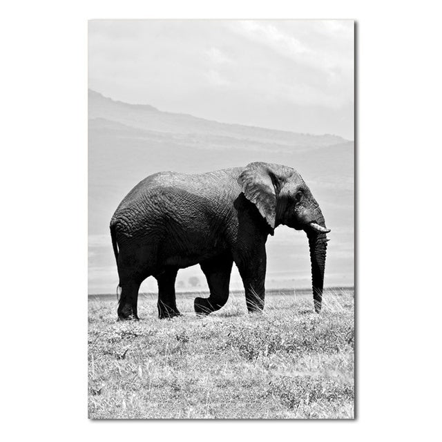 Elephants Wall Poster