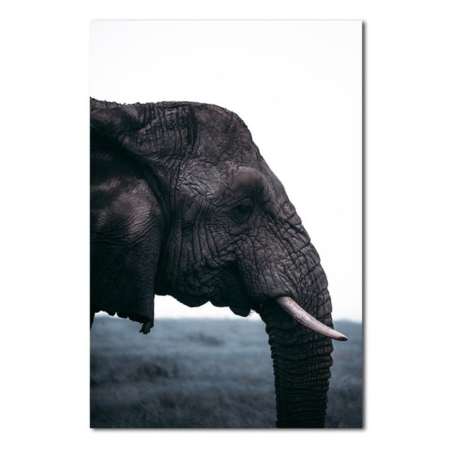Elephants Wall Poster