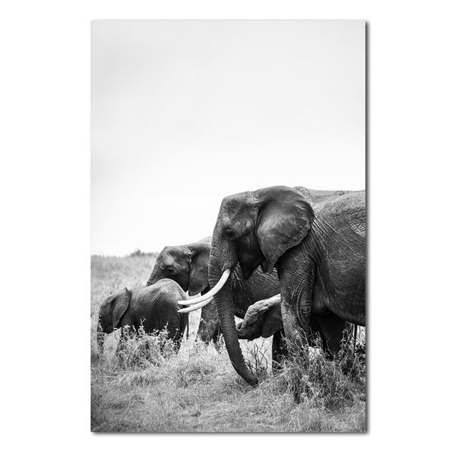 Elephants Wall Poster