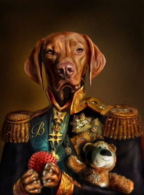 General Dog wall poster