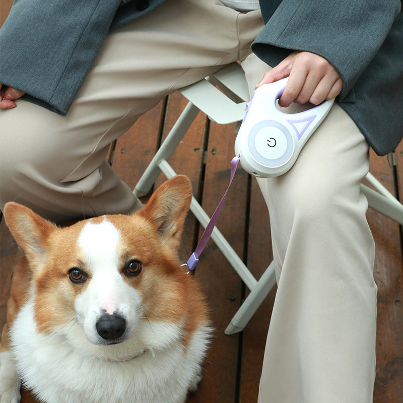 Retractable Dog Leash, product photo 2